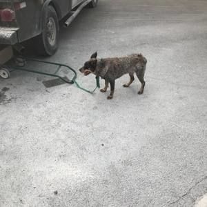 Meet your Posher, John